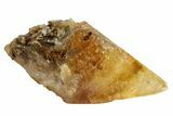 Golden, Beam Calcite Crystal - Morocco #159516-1